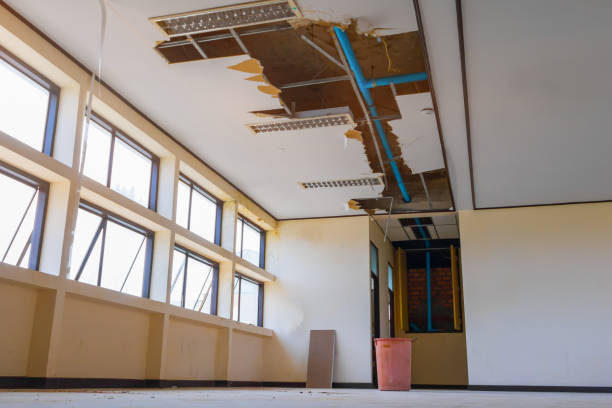 Best Residential water damage restoration  in Mont Clare, PA