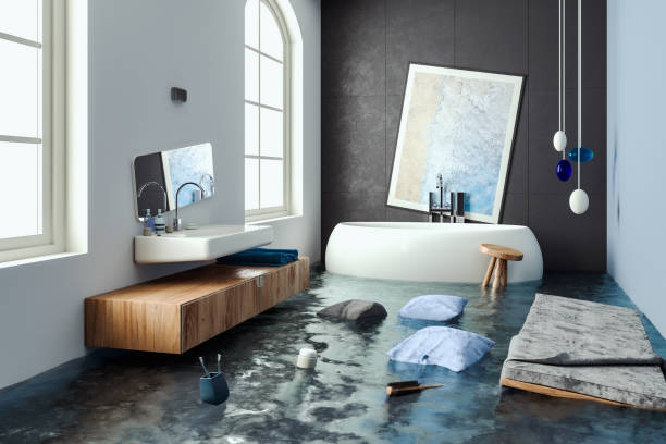  Mont Clare, PA Water damage restoration Pros