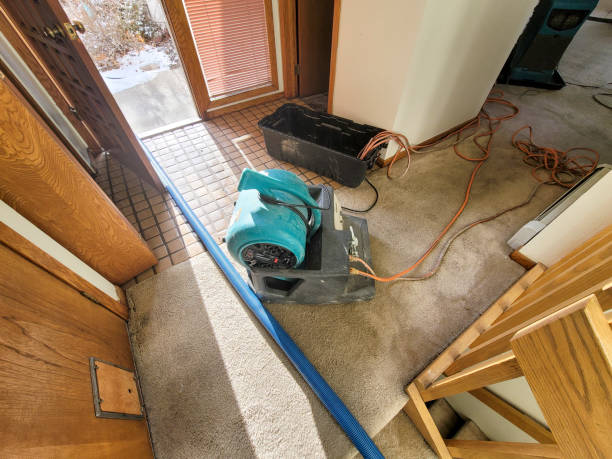 Best 24/7 water damage repair  in Mont Clare, PA