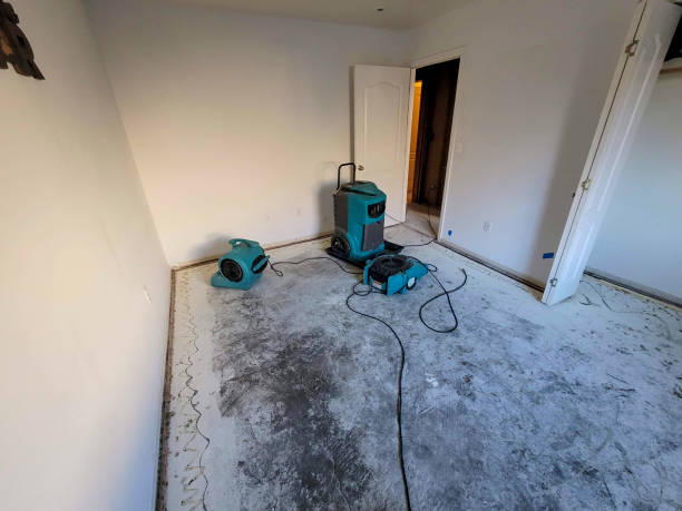 Best Water damage contractors near me  in Mont Clare, PA