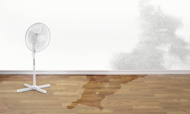 Best Flood restoration services  in Mont Clare, PA