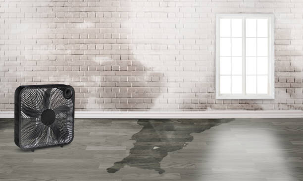 Best Fire Damage Restoration  in Mont Clare, PA