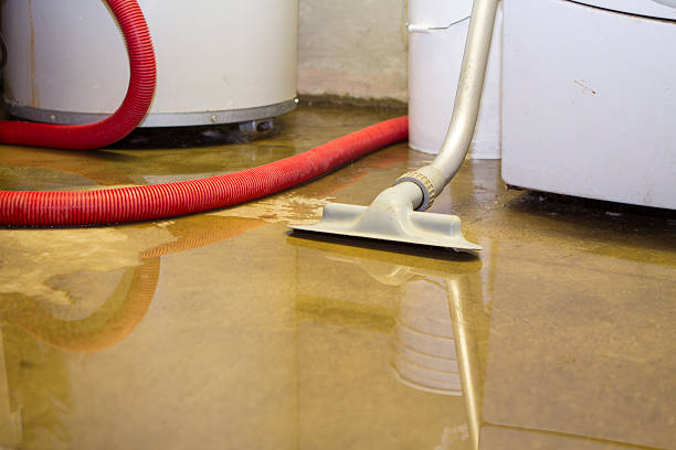 Best Flood restoration services  in Mont Clare, PA