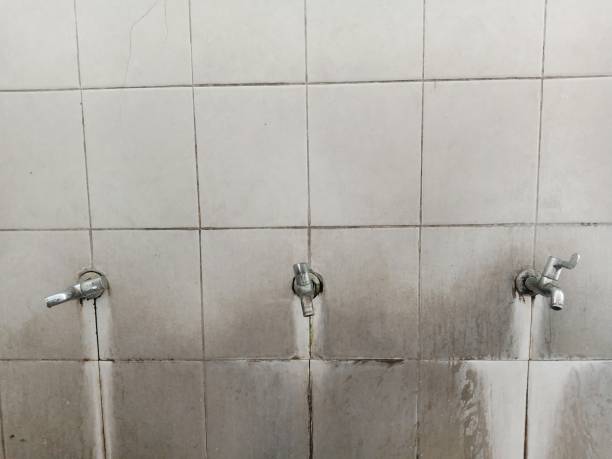 Best Emergency water damage restoration  in Mont Clare, PA