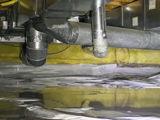 Best Emergency water damage restoration  in Mont Clare, PA