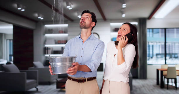 Best Professional water damage repair  in Mont Clare, PA