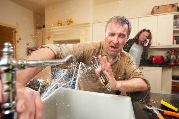 Best Mold removal after water damage  in Mont Clare, PA